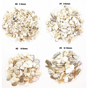 Polished mother of pearl chips